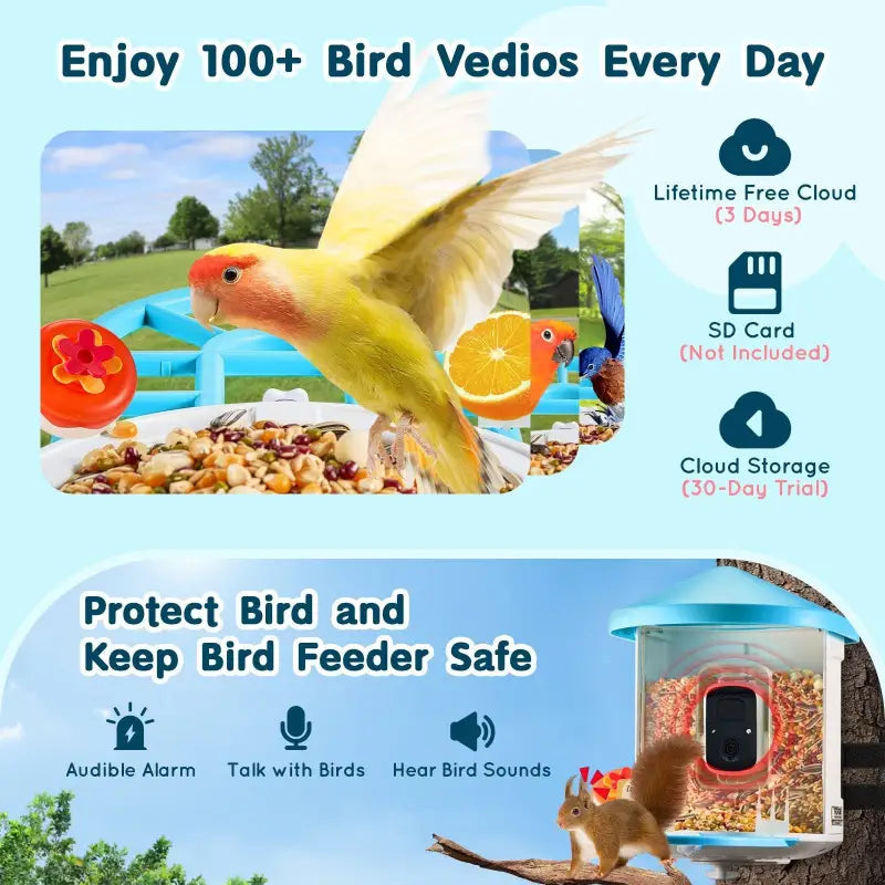 Bird feeder $132.99 smart bird feeder with camera – 2k hd bird watching ai identify wild 2025