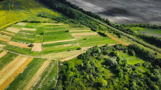 An aerial view of a green field with a mountain in the background