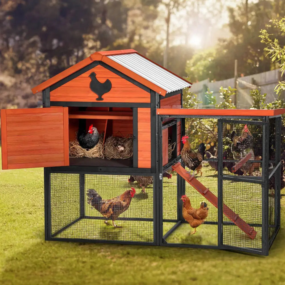 Durable Wood and Iron Chicken Coop with Runway and Waterproof Roof, Built-in Nesting Box, Holds 5–7 Chickens| BRG - BRG | Backyard Raise & Grow - 5-7 chicken house, backyard chicken run, chicken coop, durable chicken enclosure, metal and wood chicken coop, nesting box, outdoor poultry house, predator-proof coop, PVC roof coop, waterproof chicken coop