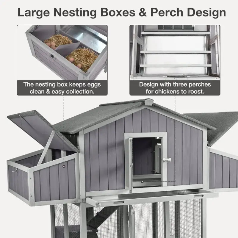 Folding chicken coop for backyard with large nesting boxes and three perches for easy chicken roosting